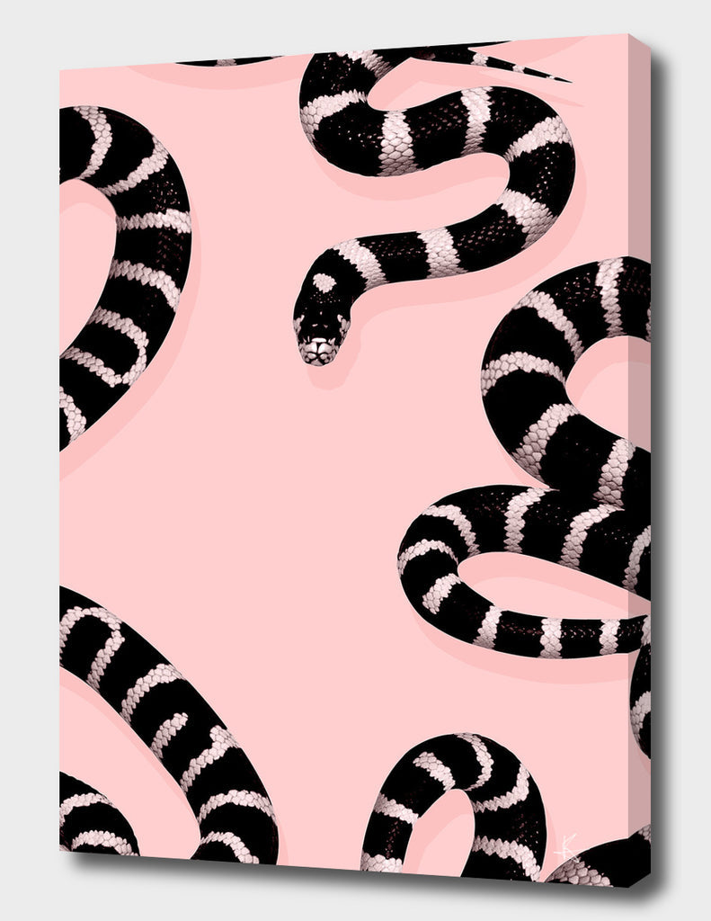 Snake Pink